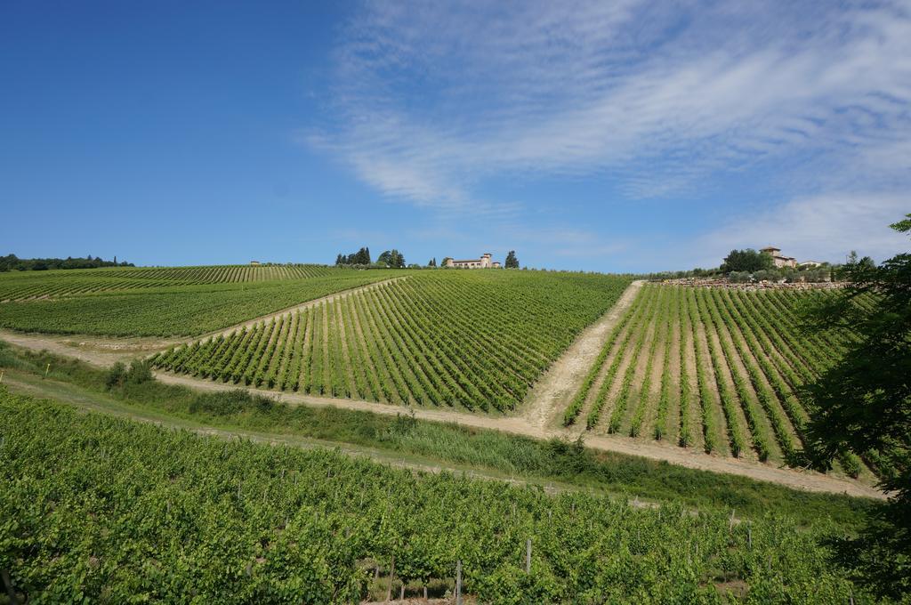 Appartamento Il Fienile del Vichiaccio Mercatale Val Di Pesa Esterno foto